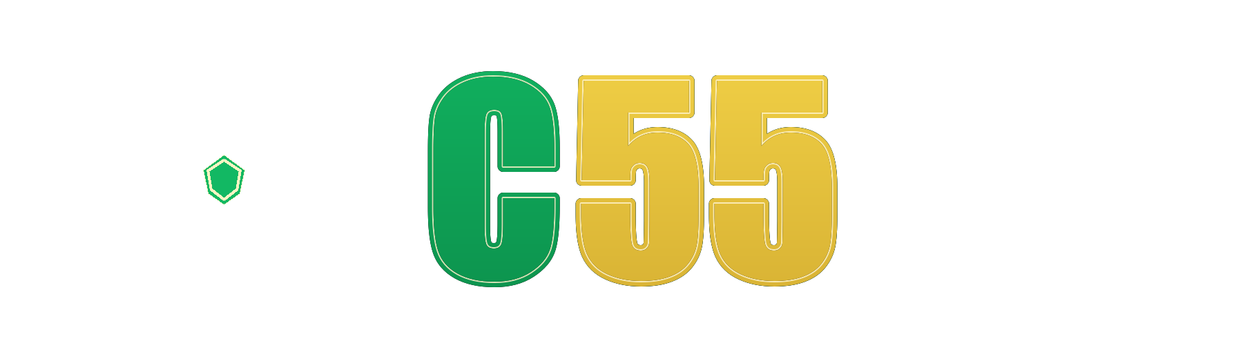 c55